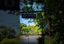 I❤️MNL MANILA 2 #perladeoriente #manilacity #discovermanila #oldmanila #visitarmanila #maynila 🌴