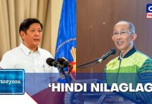 Castro: PBBM did not sideline Magalong; he resigned as ICI adviser | Storycon