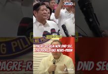 Pagre-resign nor DND Sec Theodore Fake-News #untv #pbbm #newsph #socialnews