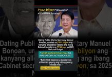 Umabot sa P30.5 bilyon “Allocables” ni Ex-DPWH Secretay sa 2025 national budget?