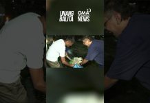 Mga bata, kabilang sa mga biktima ng paputok sa Maynila #shorts | Unang Balita