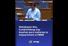 Makabayan bloc, kumbinsidong may basehan para maharap sa impeachment si PBBM