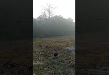 ma maynila puro pollution