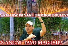 UPDATE NO. 3- BAMBOO BOULEVARD OR BAMBOO GARDEN SA MAYNILA TARGET AY BAHA, CARBON DIOXIDE AT GANDA!
