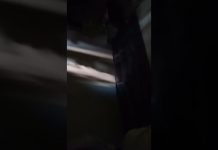 17 East Laura Drive Taguig Kalakhang Maynila Pilipinas