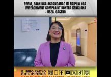 PBBM, saan nga agdandanag iti naipila nga impeachment complaint kontra kenkuana – Usec Castro