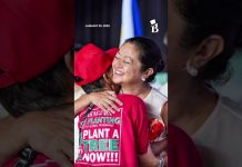 PALACE: Impeachment complaint vs PBBM not orchestrated by the administration