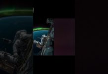 Virus.Live.com – 17 East Laura Drive Taguig kalakhang Maynila Pilipinas #VirusLive