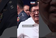 Inihaing impeachment complaints, abala lang sa trabaho ayon kay PBBM