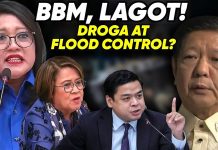 ATTY. JINKY LUISTRO SA IMPEACHMENT NI BBM TUNGKOL SA DRO-GA AT FLOOD CONTROL!