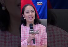Umano’y madaliang pagpatay sa impeachment vs PBBM, itinanggi