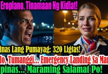 Pilipinas: Gabi ng Emergency Landing sa Maynila, Isang Eroplano, 320 Buhay ang Nailigtas Ligtas!!!!!