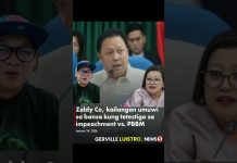 GOODNEWS NEWS AT BADNEWS PARA SA MGA DDS! #impeachment #PBBM #DDS #duterte #kakampinks #viralvideo