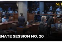 Senate Session No. 20 (September 15, 2025)