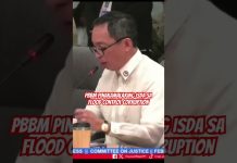PBBM pinakamalaking isda sa floodcontrol corruptio #pbbm #floodcontrol #impeachment