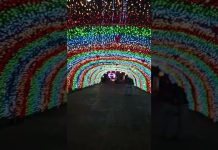 Pasyalan sa maynila part 2 malapit city hall rainbow lights near miniband 🎵#musicalband #manilacity