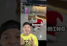 Ang bagong na Security Guru sa Maynila