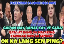 JAY SONZA AT ERIC CELIZ KAKASUHAN NG CYBERLIBEL! PING LACSON NAGJO-JOKE? SARA DUROG KAY GADON!