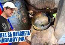 GINAGANTIHAN SI ISKO? BINABABOY ANG MAYNILA