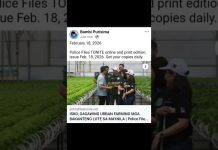 Isko, gagawing urban farming ang mga bakanteng lote sa Maynila