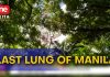 Arroceros Park sa Maynila, tinaguriang 'last lung of Manila' | One Balita Pilipinas
