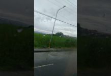 pauwi n ng maynila bai galing tayo ng leyte