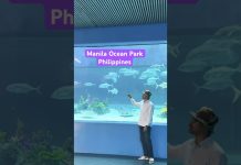 Visit Of Manila Ocean Park Philippines| #manilaoceanpark #manila #oceanpark #manilaphilippines