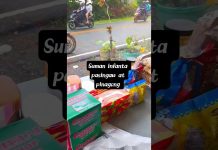 #di talaga uuwi sa maynila ng walang dalang suman ng Infanta Quezon pasingaw at pinagong