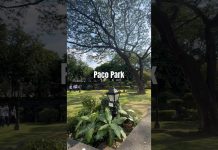 Paco Park #manilatravel #manila #pacopark #maynila #pacomanila #pacocemetery
