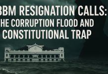 🌊 PBBM Resignation Calls: The Corruption Flood and the Constitutional Trap ⚖️💥