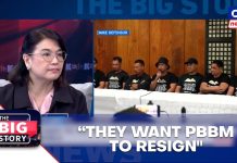 Person behind Baligod, ex-military men wants Marcos to resign — Castro