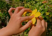 𝗙𝗹𝗼𝗿𝗮 | Trailer | Sinag Maynila 2026