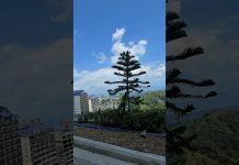 Road Trip muna tayo. nakaka stress na sa Maynila