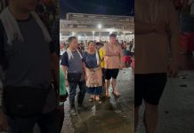 Ang bagong pamilya ni Lolong sa Maynila! | Lolong 2