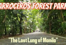 Arroceros Forest Park: Ang Huling Gubat sa gitna ng Maynila | Metro Manila | #lovethephilippines