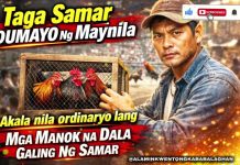 TAGA SAMAR DUMAYO NG MAYNILA AKALA NILA ORDlRNARYO LANG MGA MANOK NA DALA GALING NG SAMAR