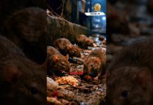 Bakit napapadalas ang sunog sa Maynila?